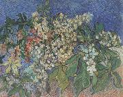 Vincent Van Gogh Blossoming Chestnut Branches (nn04) oil on canvas